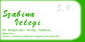 szabina velegi business card